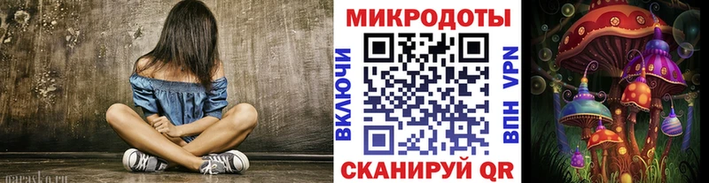 Купить где Себеж Псилоцибиновые грибы Cubensis