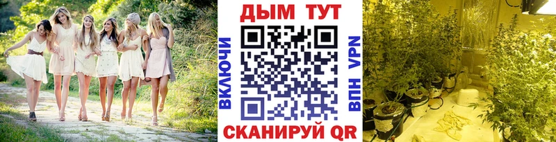 Купить закладки  Себеж  Канабис White Widow 